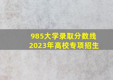 985大学录取分数线2023年高校专项招生