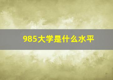 985大学是什么水平