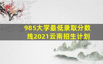 985大学最低录取分数线2021云南招生计划