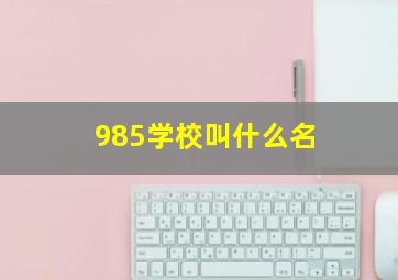 985学校叫什么名