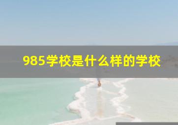 985学校是什么样的学校