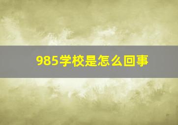 985学校是怎么回事