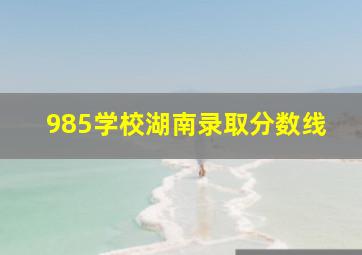 985学校湖南录取分数线