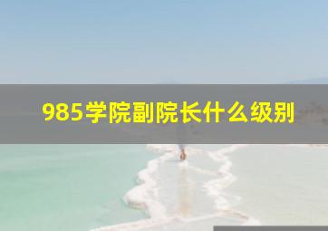 985学院副院长什么级别