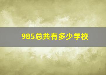 985总共有多少学校