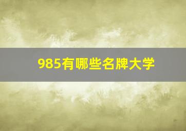 985有哪些名牌大学