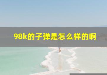 98k的子弹是怎么样的啊