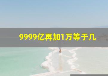 9999亿再加1万等于几