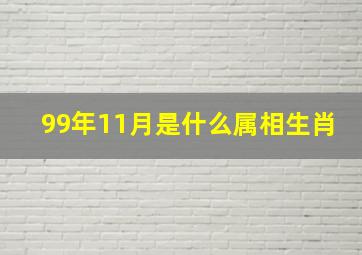 99年11月是什么属相生肖