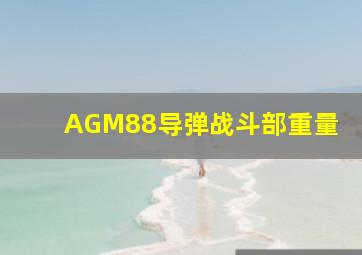 AGM88导弹战斗部重量