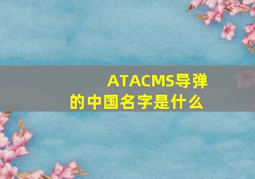 ATACMS导弹的中国名字是什么