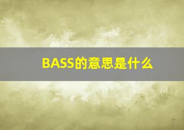 BASS的意思是什么