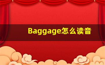 Baggage怎么读音