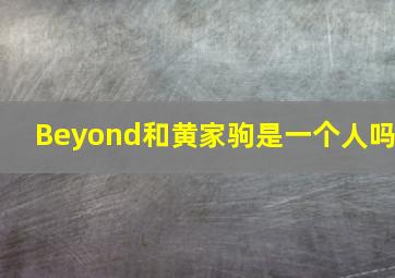 Beyond和黄家驹是一个人吗