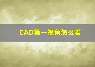 CAD第一视角怎么看