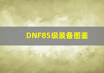 DNF85级装备图鉴