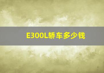 E300L轿车多少钱