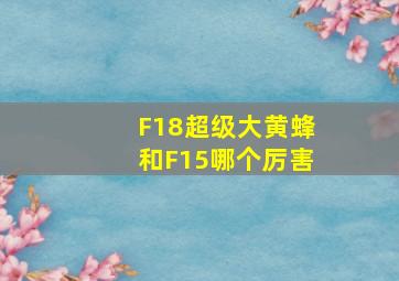 F18超级大黄蜂和F15哪个厉害