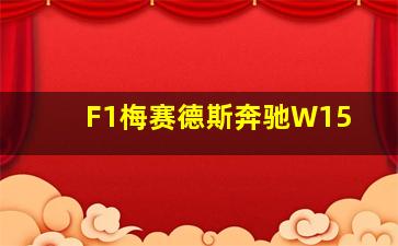 F1梅赛德斯奔驰W15