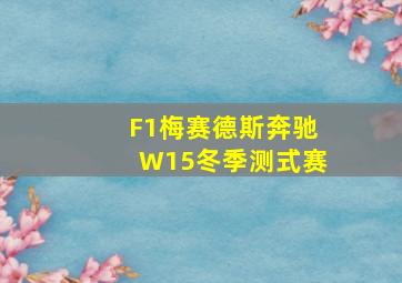 F1梅赛德斯奔驰W15冬季测式赛