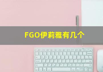 FGO伊莉雅有几个