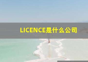 LICENCE是什么公司