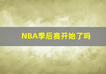 NBA季后赛开始了吗