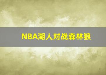 NBA湖人对战森林狼