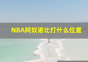 NBA阿奴诺比打什么位置