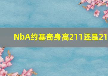 NbA约基奇身高211还是213