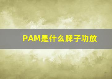 PAM是什么牌子功放