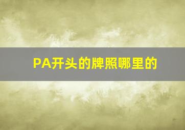 PA开头的牌照哪里的