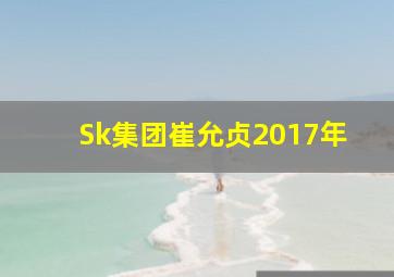 Sk集团崔允贞2017年