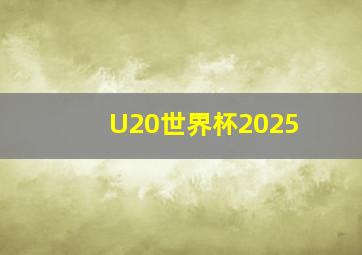 U20世界杯2025