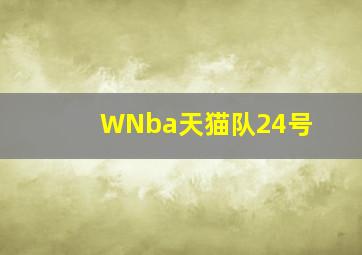 WNba天猫队24号