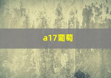 a17葡萄