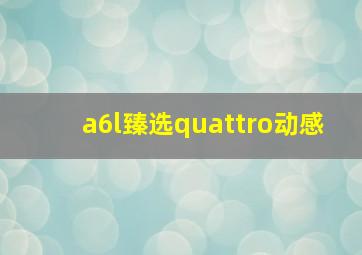 a6l臻选quattro动感