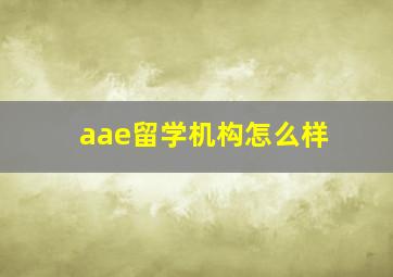 aae留学机构怎么样