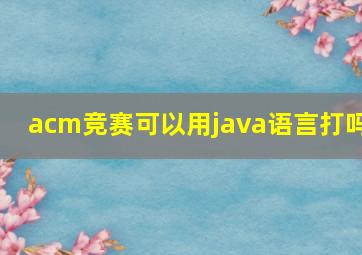 acm竞赛可以用java语言打吗