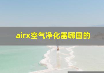 airx空气净化器哪国的