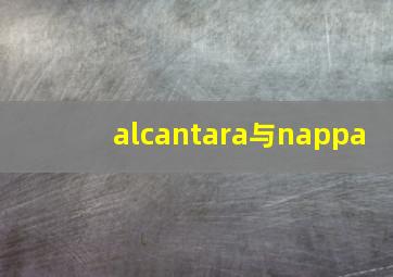 alcantara与nappa