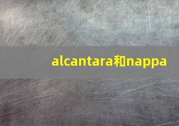 alcantara和nappa