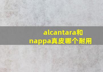 alcantara和nappa真皮哪个耐用