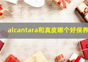 alcantara和真皮哪个好保养