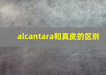 alcantara和真皮的区别