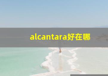 alcantara好在哪