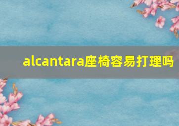 alcantara座椅容易打理吗