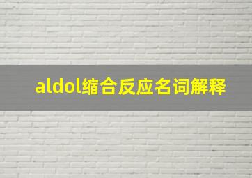 aldol缩合反应名词解释