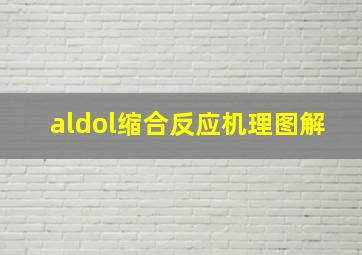 aldol缩合反应机理图解