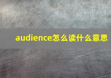 audience怎么读什么意思